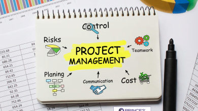 PRINCE2 Project Management as a broad concept